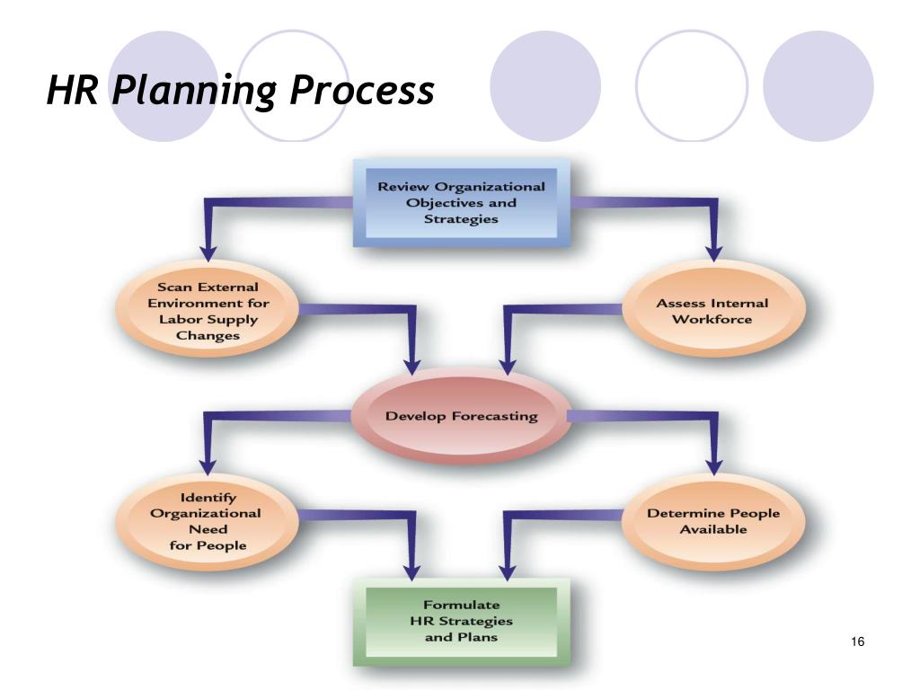 PP planning procedure mm. External environment of the Organization. What are Internal External Factors of HRM. Planning steps