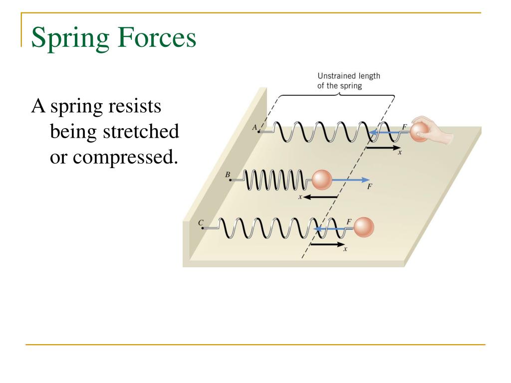 ppt-spring-forces-and-simple-harmonic-motion-powerpoint-presentation