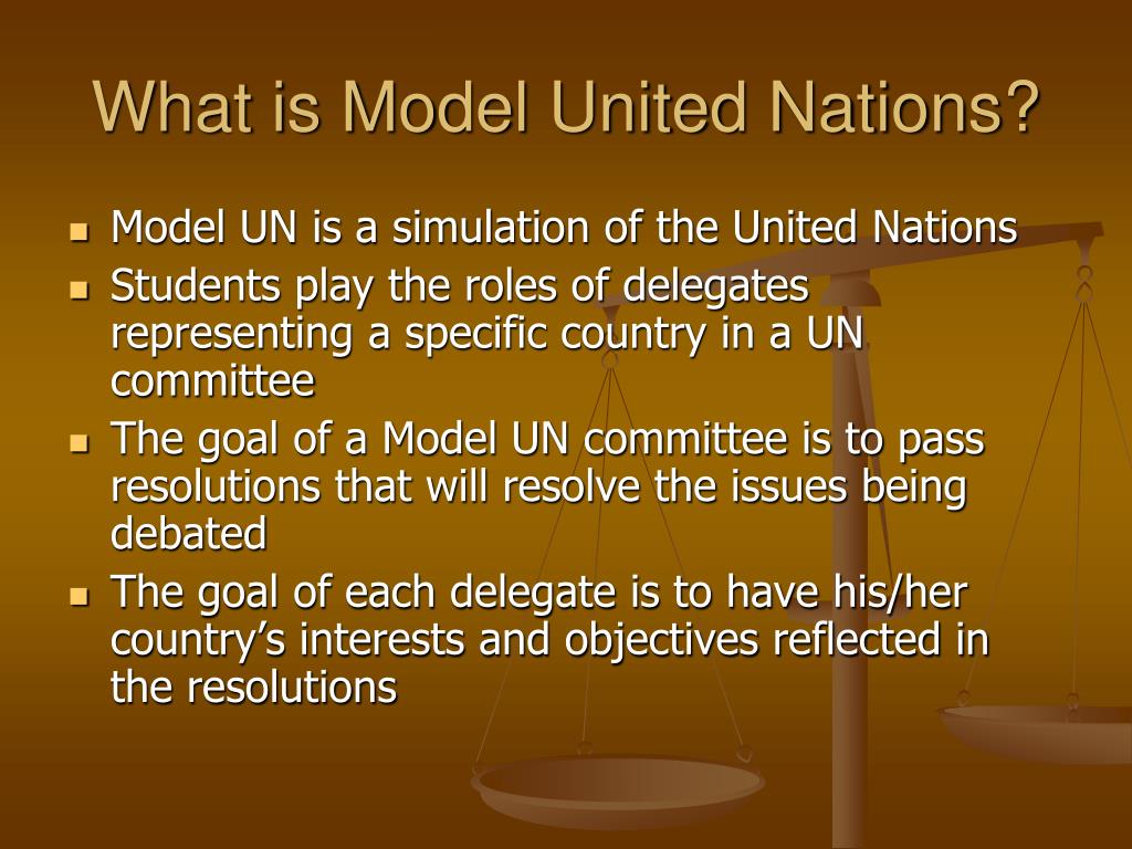 model united nations assignment