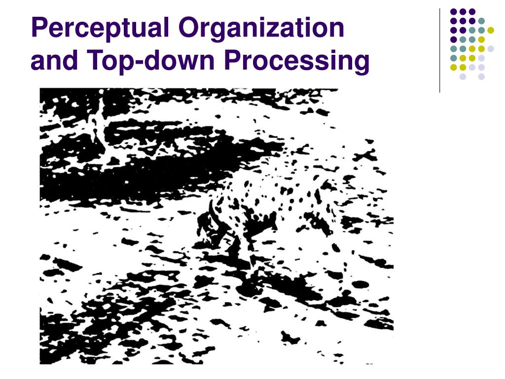 top down processing top down processing