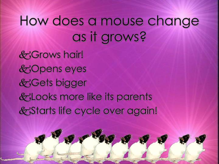 blackwind mouse change colors blackwind mouse change colors