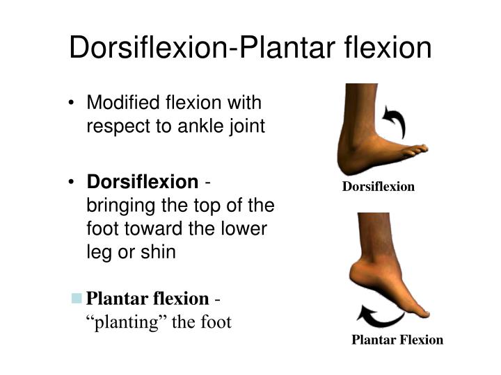 PPT Movements PowerPoint Presentation ID443502