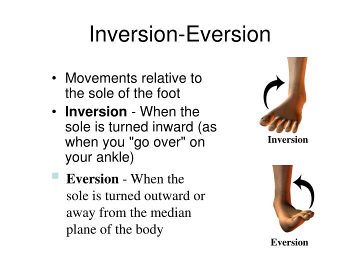 Inversion meaning