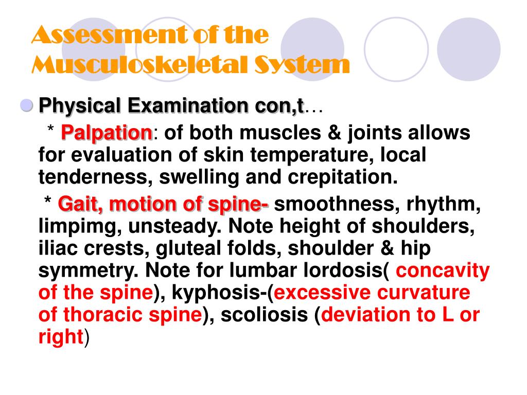 PPT Assessment Of The Musculoskeletal System PowerPoint Presentation ppt-assessment-of-the-musculoskeletal-system-powerpoint-presentation