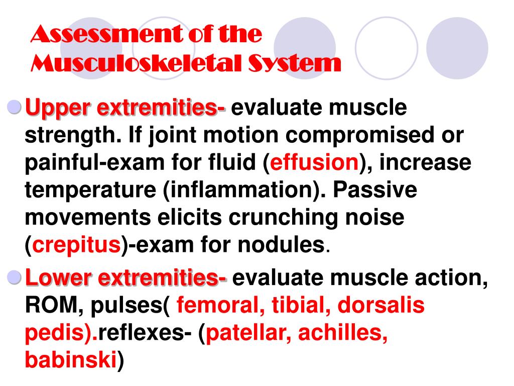 ppt-assessment-of-the-musculoskeletal-system-powerpoint-presentation