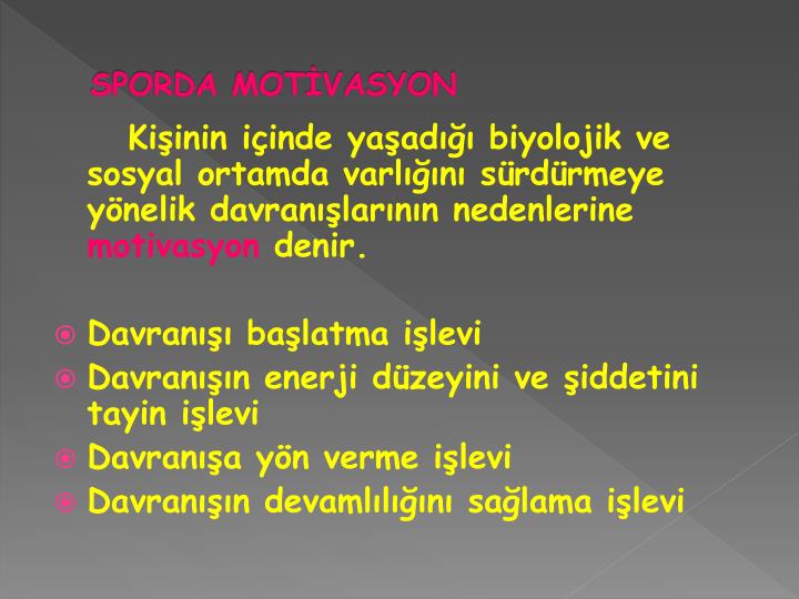 Robeborka: yeni oyuncunun yorumları Robeborka: yeni oyuncunun yorumları