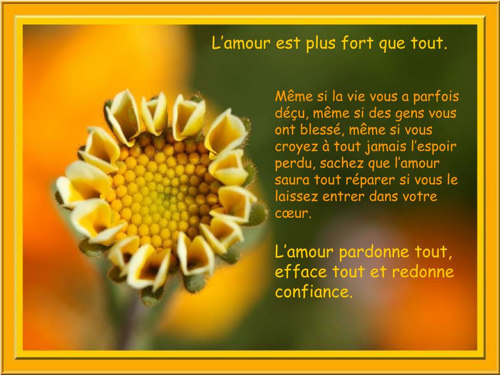 Ppt Rien N Est Plus Fort Que L Amour Powerpoint Presentation Free Download Id Ppt Rien N Est Plus Fort Que L Amour Powerpoint Presentation Free Download Id