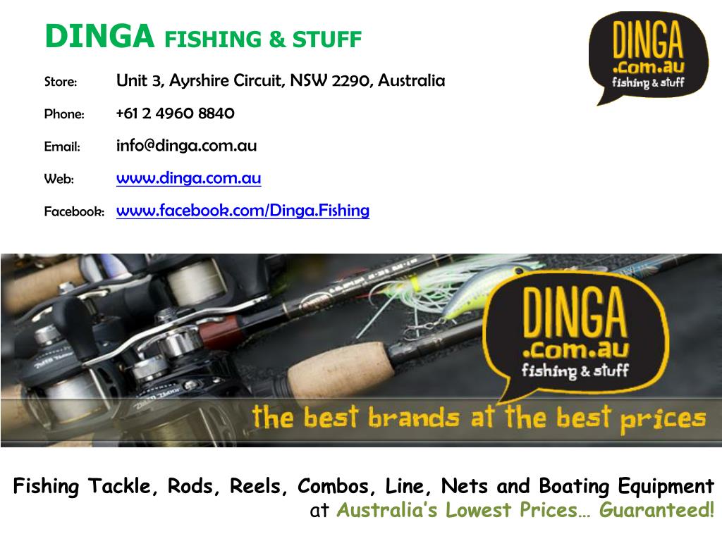 PPT - Dinga Fishing PowerPoint Presentation, free download - ID:445180