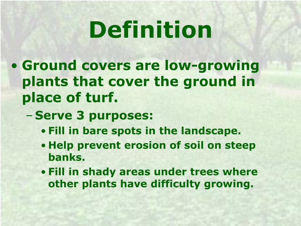 PPT Ground Covers PowerPoint Presentation Free Download ID 445261