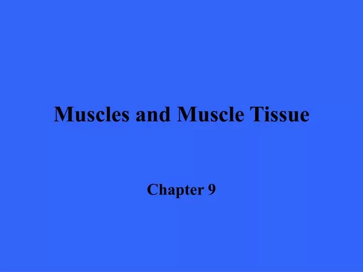 PPT - Muscles And Muscle Tissue PowerPoint Presentation, Free Download ...