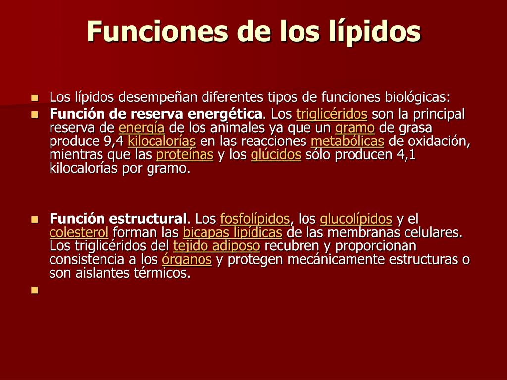 Demonio Gimnasta Arena PPT - LOS LIPIDOS PowerPoint Presentation, free download - ID:446843