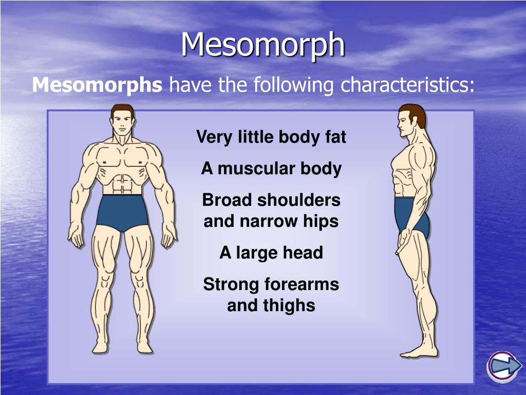 how to find out your somatotype