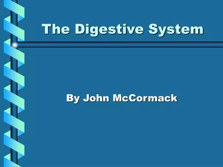 the digestive system n.