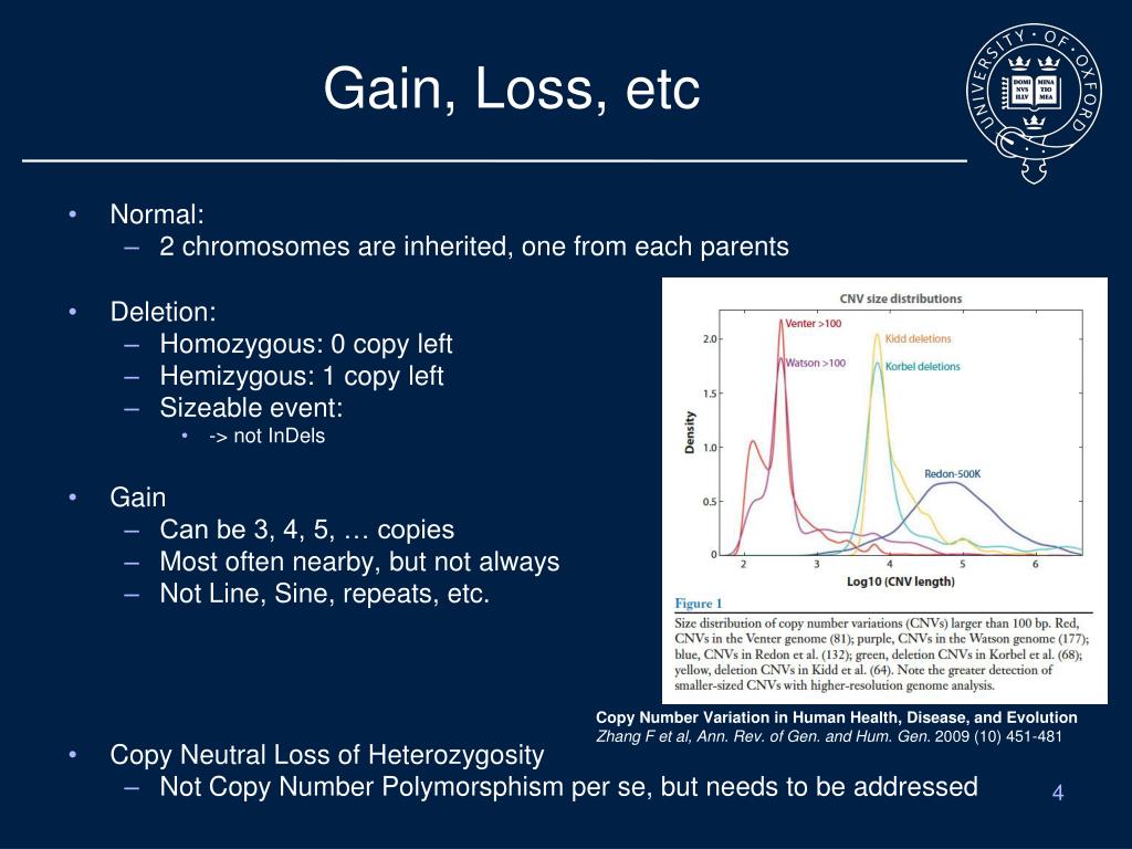 Her loss перевод. Loss перевод. Loss of heterozygosity. Homozygous deletion. Total variation loss.
