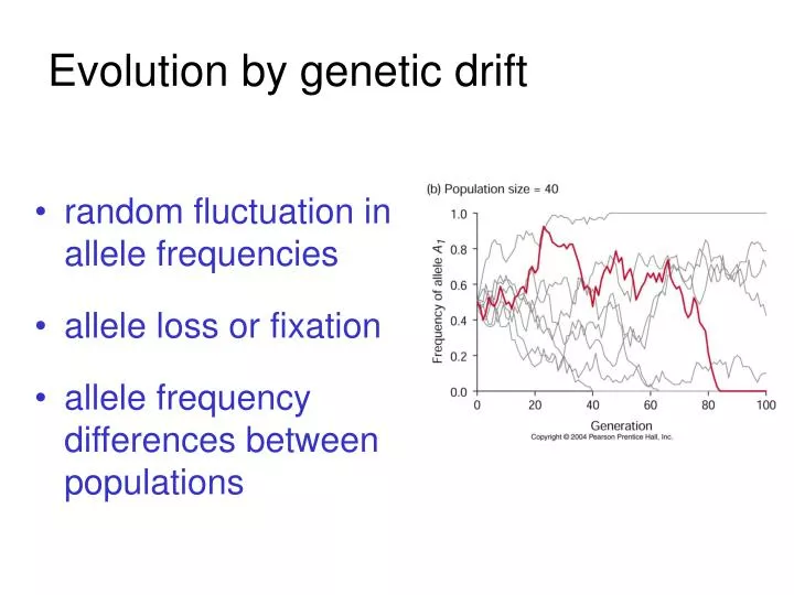 GENETIC DRIFT DEFINITION BIOLOGY EVOLUTION visual data 8