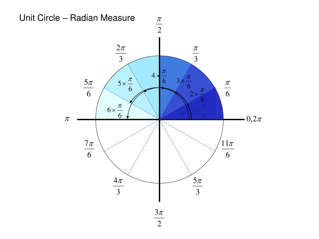13 задание круг. Единичная окружность. Модель единичной окружности. Тригонометр спектр. Интерактивная единичная окружность.