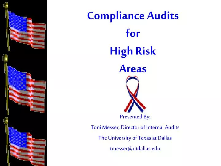 compliance audits for high risk areas n.