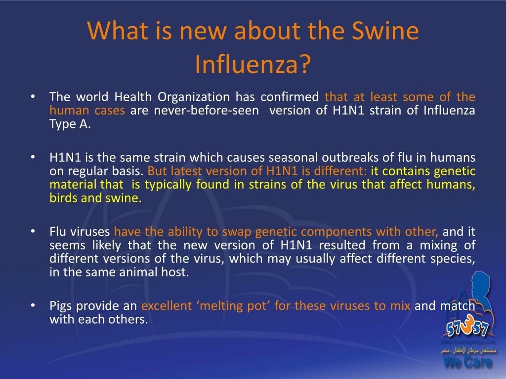 swine flu ppt 2010 torrent