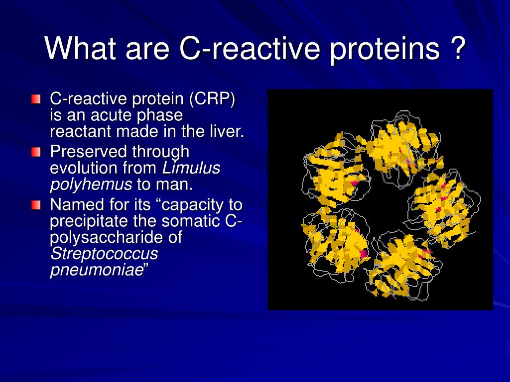 Ppt Protein Structure And Function Powerpoint Presentation Free 288