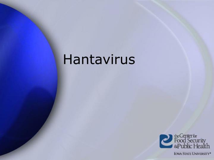 a study on hantavirus Most efforts for hantavirus vaccine development have focused on hfrs because where many are at risk of hantavirus diseases a phase 1 clinical study is currently. a study on hantavirus Most efforts for hantavirus vaccine development have focused on hfrs because where many are at risk of hantavirus diseases a phase 1 clinical study is currently.