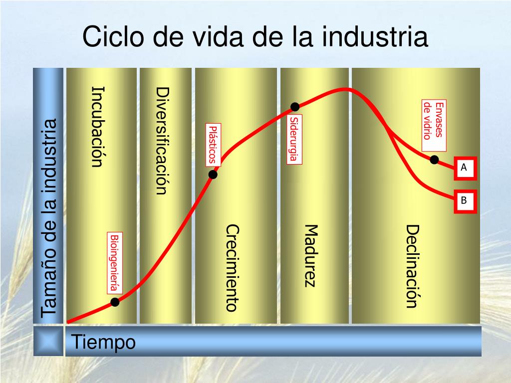 PPT - Innovación y Desarrollo: Creación de una Cultura PowerPoint