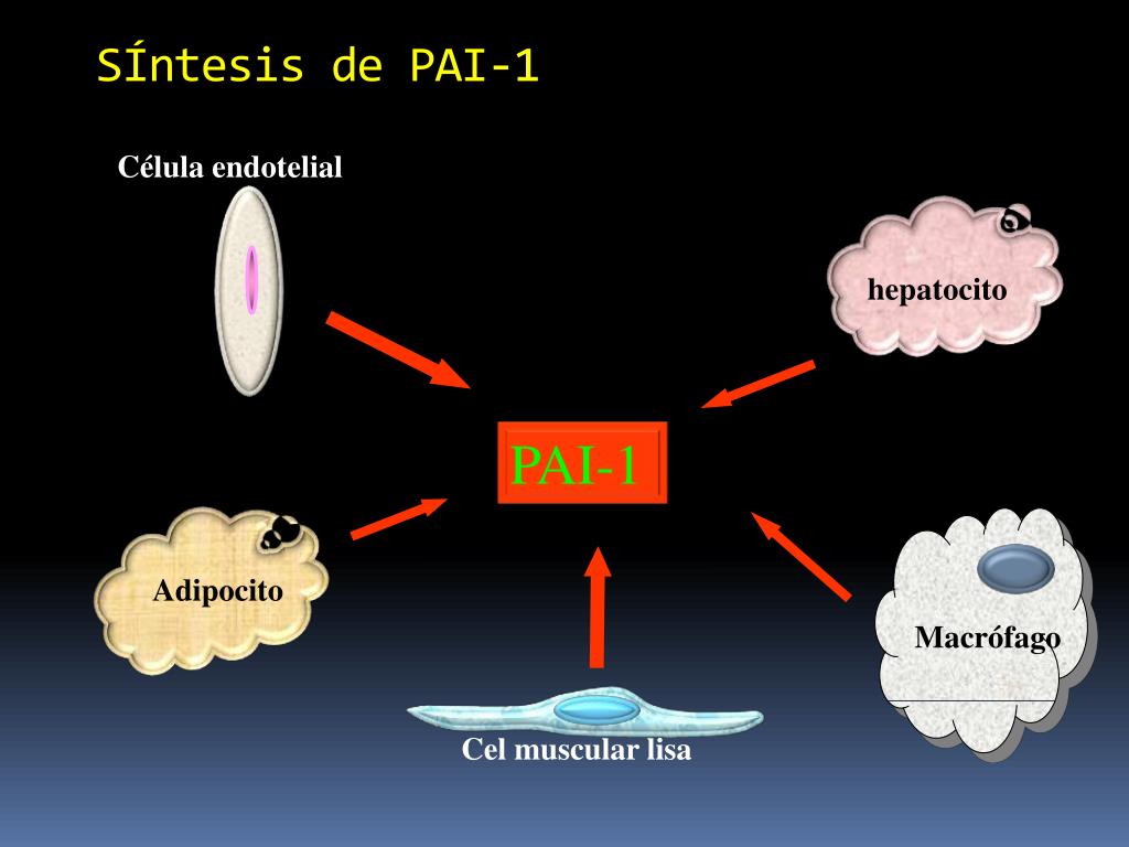 Гена pai 1. Pai 1 5g/4g. Ген pai-1 4g. Мутация ингибитора активатора плазминогена serpine1 : 4g/5g (pai1. Pai-1.