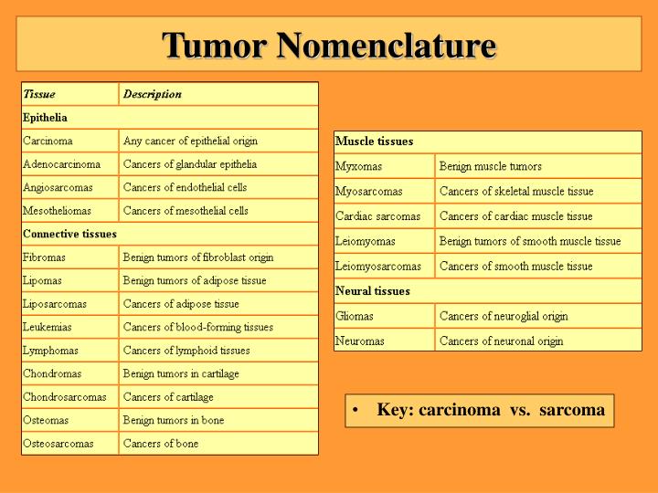 Tumor Nomenclature