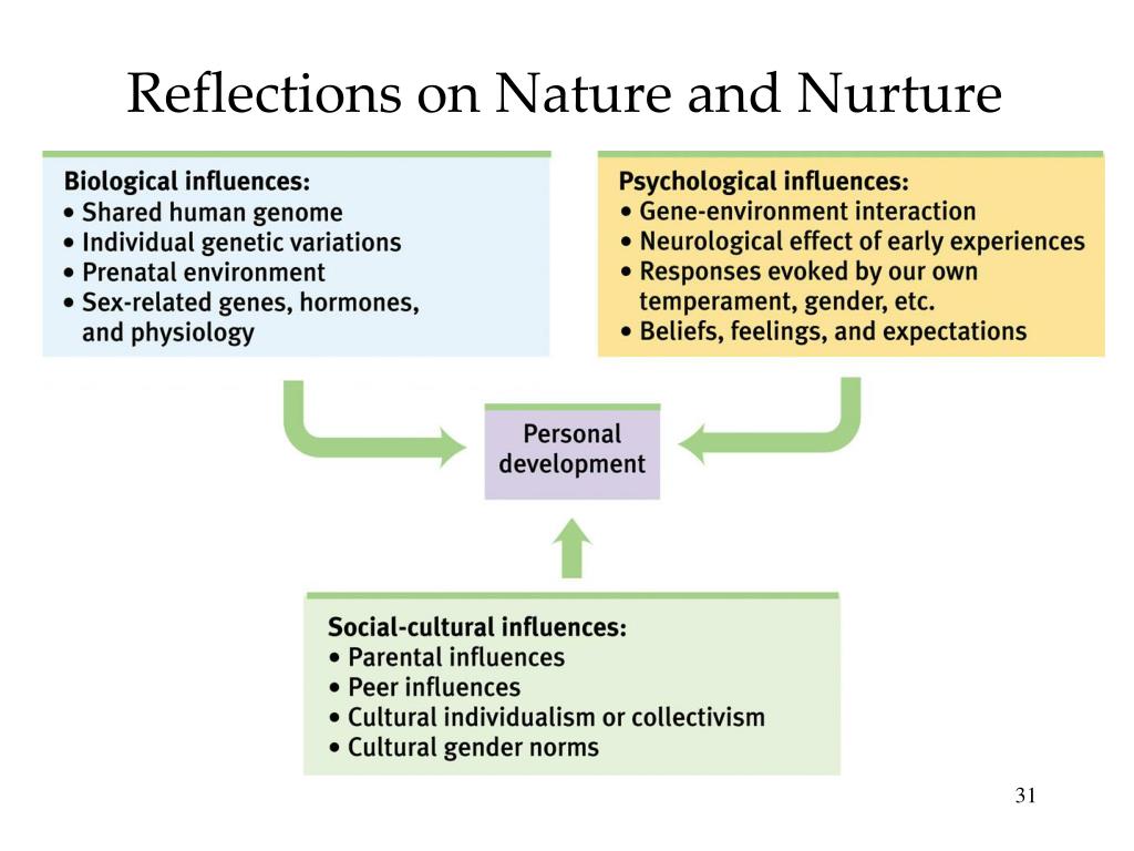 Nurture перевод. Nurture the nature. Nature vs nurture. Nature of nurture Chapter 2- NOXLORE. NOXLORE nature of nurture 3.