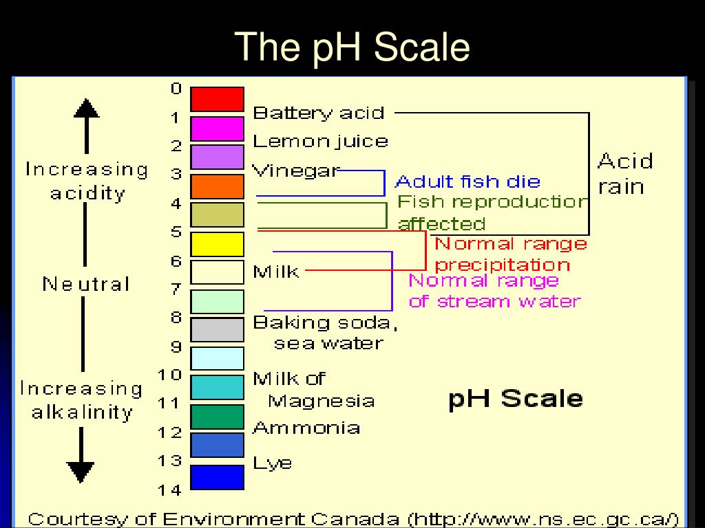 PPT - Biology I What is pH? PowerPoint Presentation, free download - ID ...