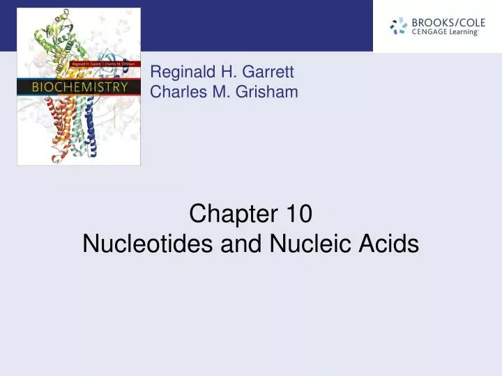 chapter 10 nucleotides and nucleic acids n.