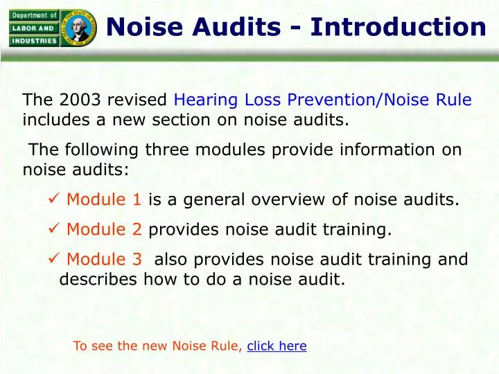 noise audits introduction n.