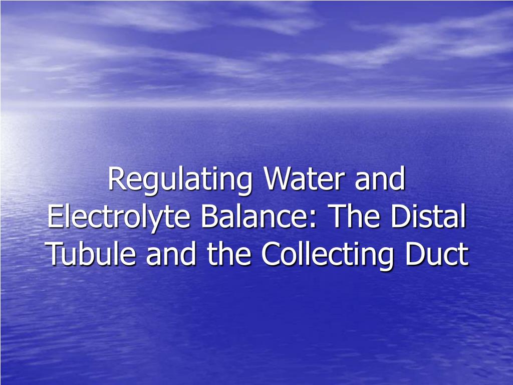 water and electrolytes water and electrolytes