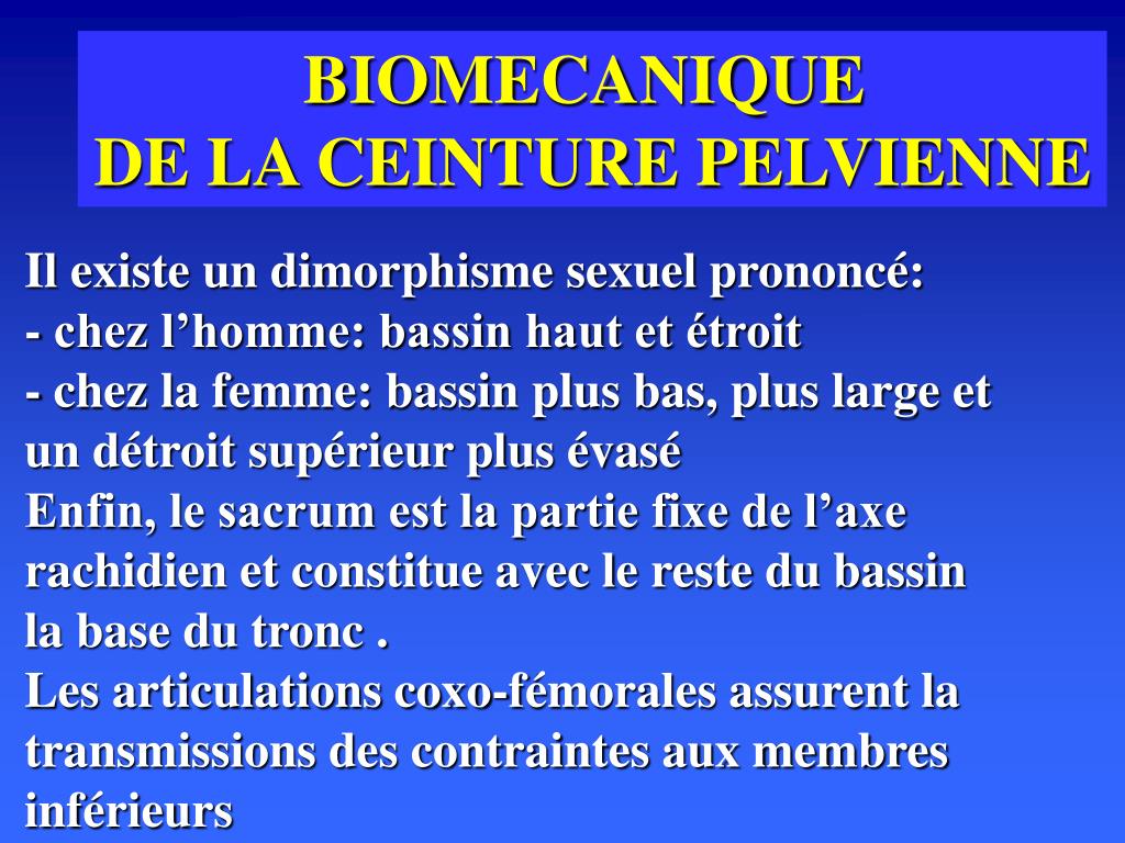 PPT - BIOMECANIQUE DE LA CEINTURE PELVIENNE PowerPoint Presentation, free  download - ID:458805