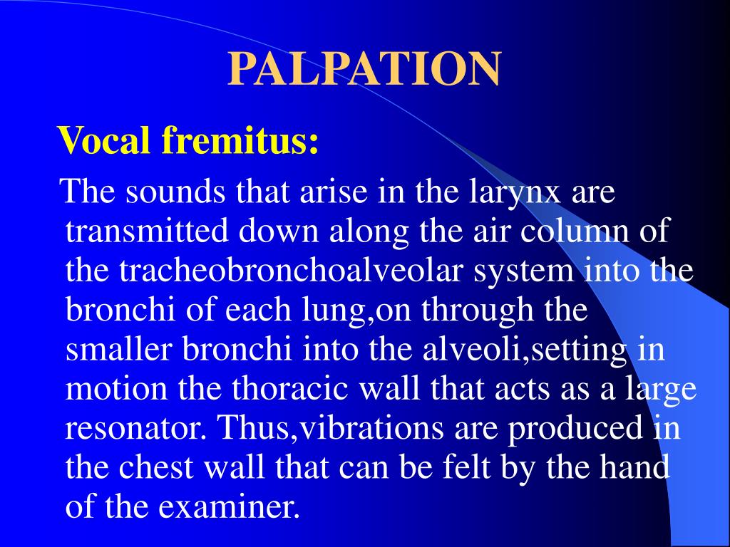 PPT - The boundary of lung and pleura PowerPoint Presentation, free  download - ID:458841