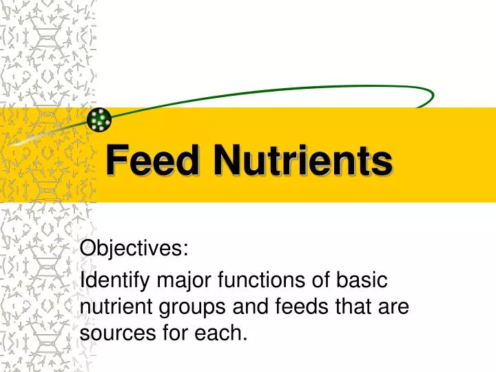 feed nutrients n.