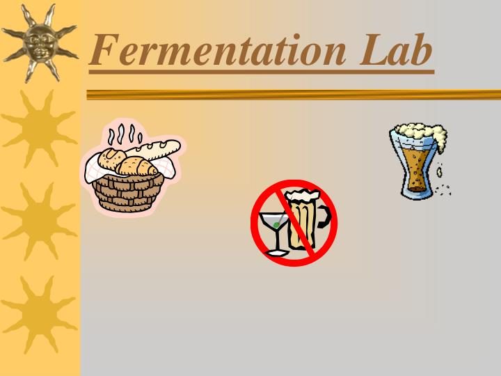 PPT - Fermentation Lab N