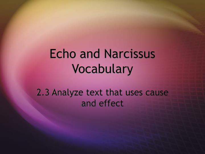echo and narcissus vocabulary n.