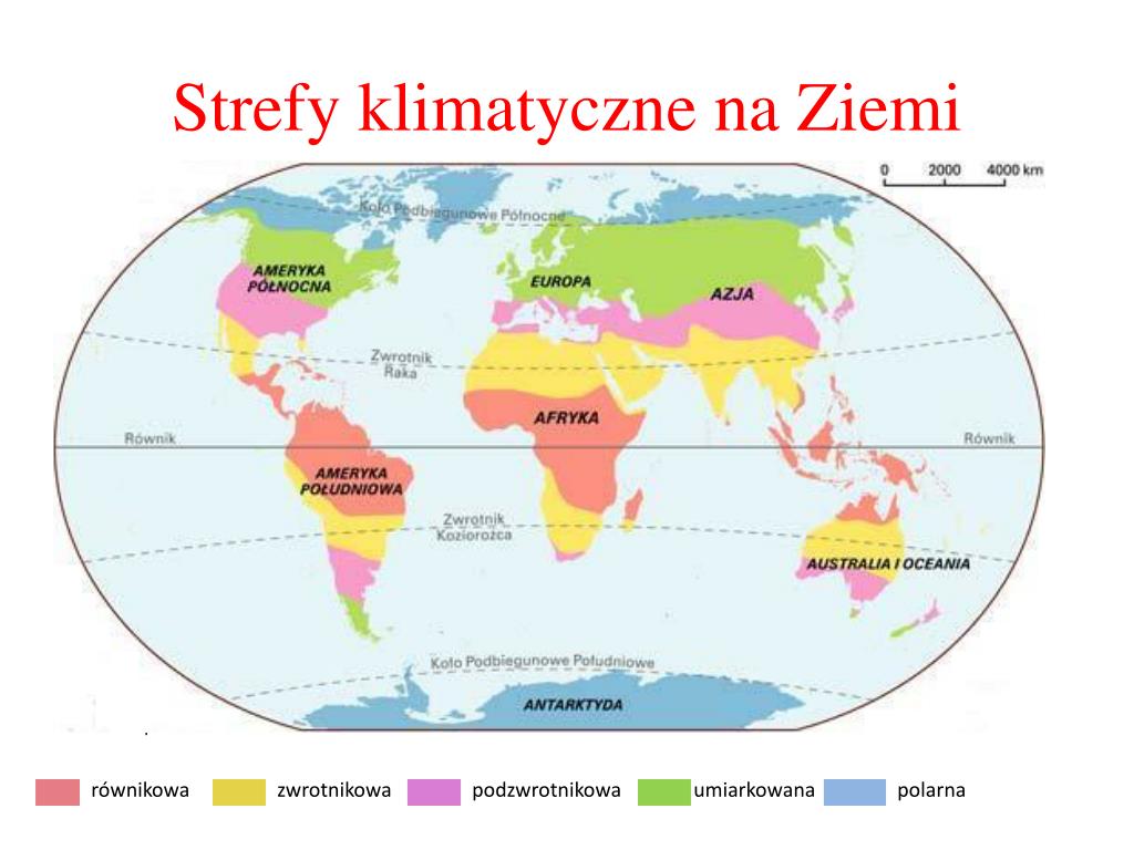 Strefa Klimatów Podzwrotnikowych PPT - Materiały pochodzą z Platformy Edukacyjnej Portalu szkolnictwo.pl
