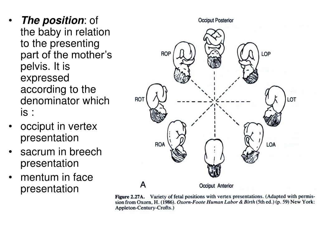 what is the presenting part in face presentation