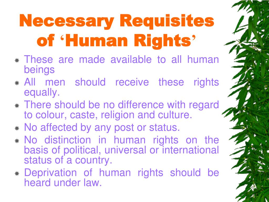 human rights presentation pdf