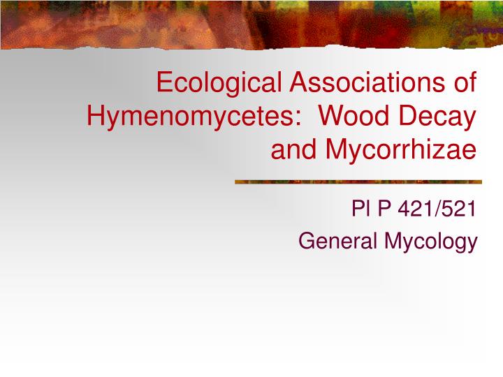 ecological associations of hymenomycetes wood decay and mycorrhizae n.