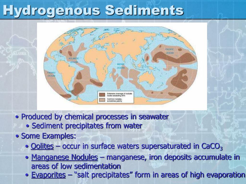PPT - Ocean Sediments PowerPoint Presentation, free ...