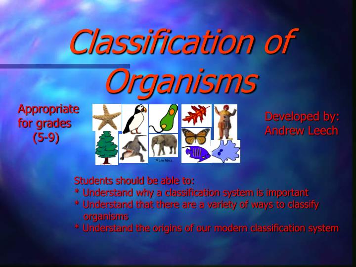 PPT - Classification Of Organisms PowerPoint Presentation, Free ...