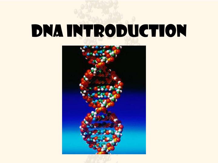 dna introduction n.