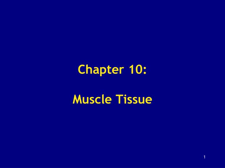 chapter 10 muscle tissue n.