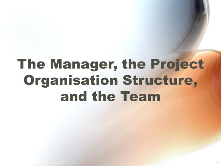 the manager the project organisation structure and the team n.