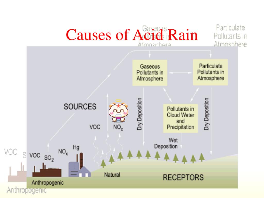 Текст по английскому 7 класс acid rain. Кислотные дожди. Causes of acid Rain. What causes acid Rain. Acid Rain and solutions презентация.
