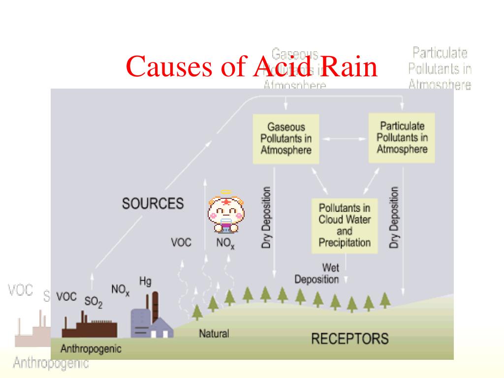 Текст по английскому 7 класс acid rain