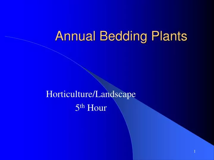 annual bedding plants n.