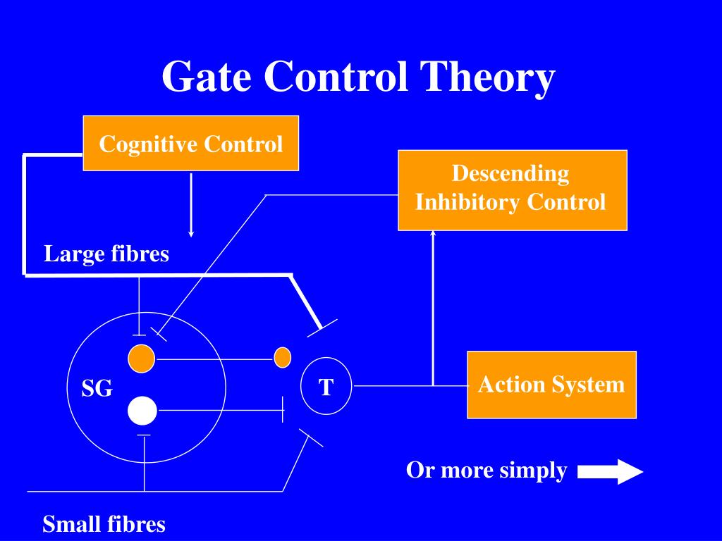 Gate Control Theory Of Pain Example